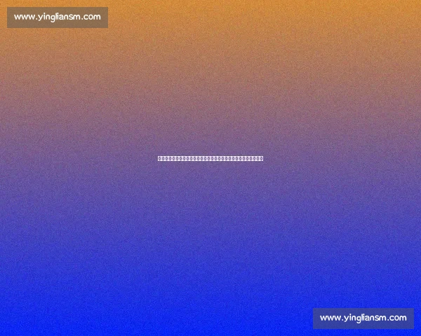 久别重逢的我们在时光交错中重新找回彼此真心与勇气的动人故事篇